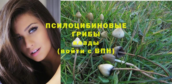 гидра Белокуриха