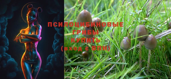 стафф Беломорск