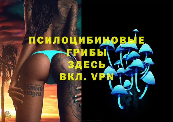 стафф Беломорск