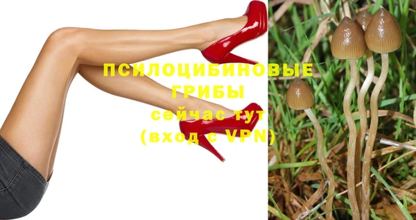 стафф Беломорск