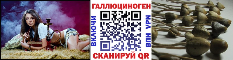 Галлюциногенные грибы мухоморы  Николаевск 